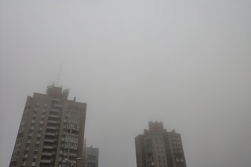 Жёлтый уровень опасности объявили в Белгородской области из-за тумана