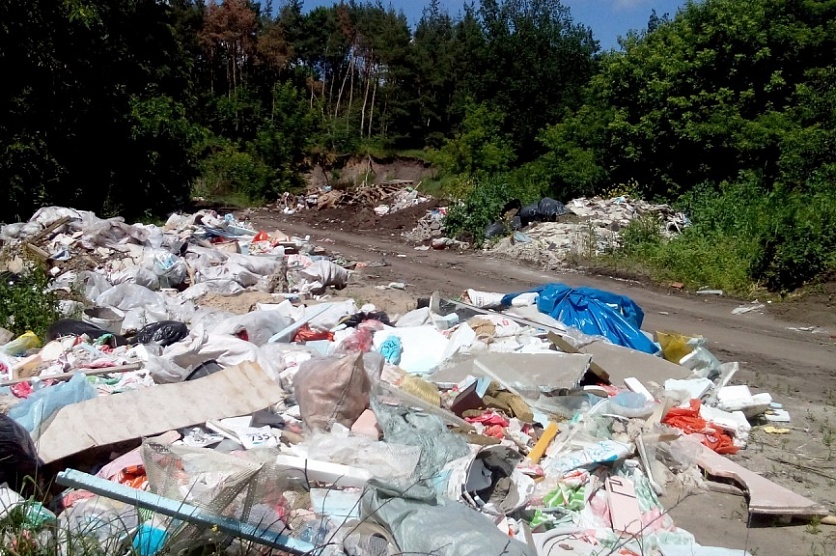 Тариф на захоронение мусора для губкинцев может вырасти в 20 раз?