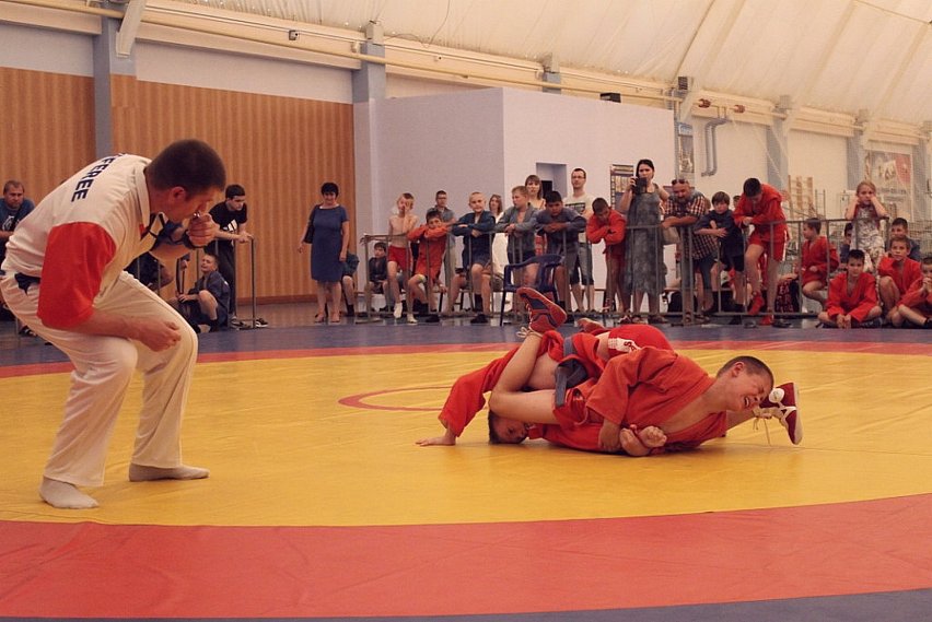 В школах Белгородской области на уроках физкультуры будут заниматься самбо