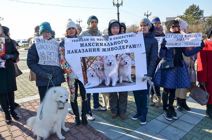 Всех, кто любит животных приглашают на митинг против садизма в Белгороде
