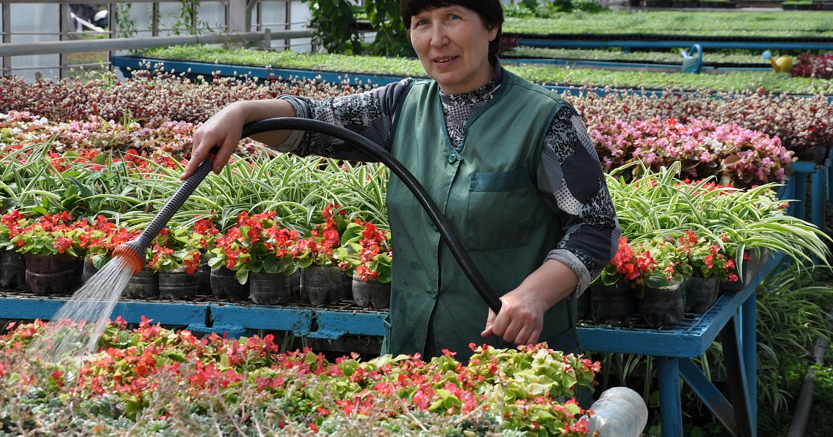 Магазин Цветов Губкин