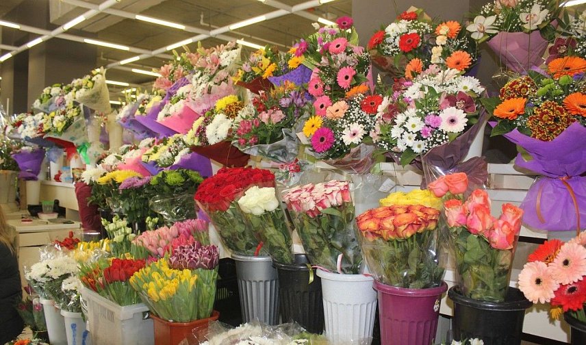 Мам и пап призывают не тратить деньги на «мёртвые» цветы к 1 сентября