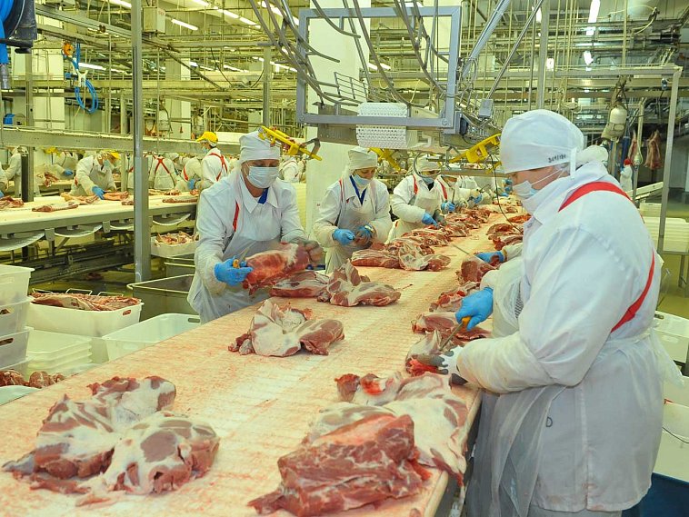 Белгородская область выпускает столько же мяса, сколько Беларусь