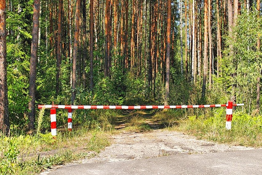 В лесах Белгородчины вводится особый противопожарный режим