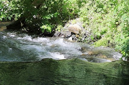 В Губкине почистят реку Осколец