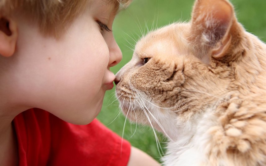 Губкинских школьников научат любить животных