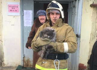 В Губкине пожарные спасли квартиру, а в Томаровке – котика