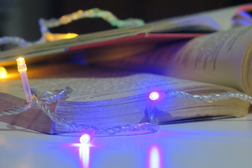 Что почитать во время каникул взрослым и детям