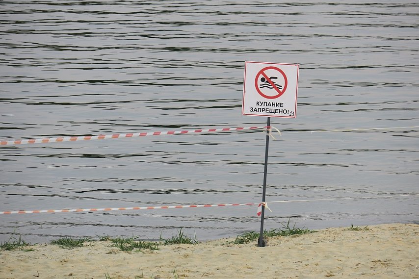 Кишечную палочку нашли в воде у городского пляжа в Губкине