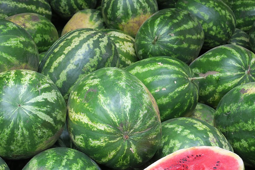 На гриле и с тунцом: вкусные и необычные блюда из арбуза