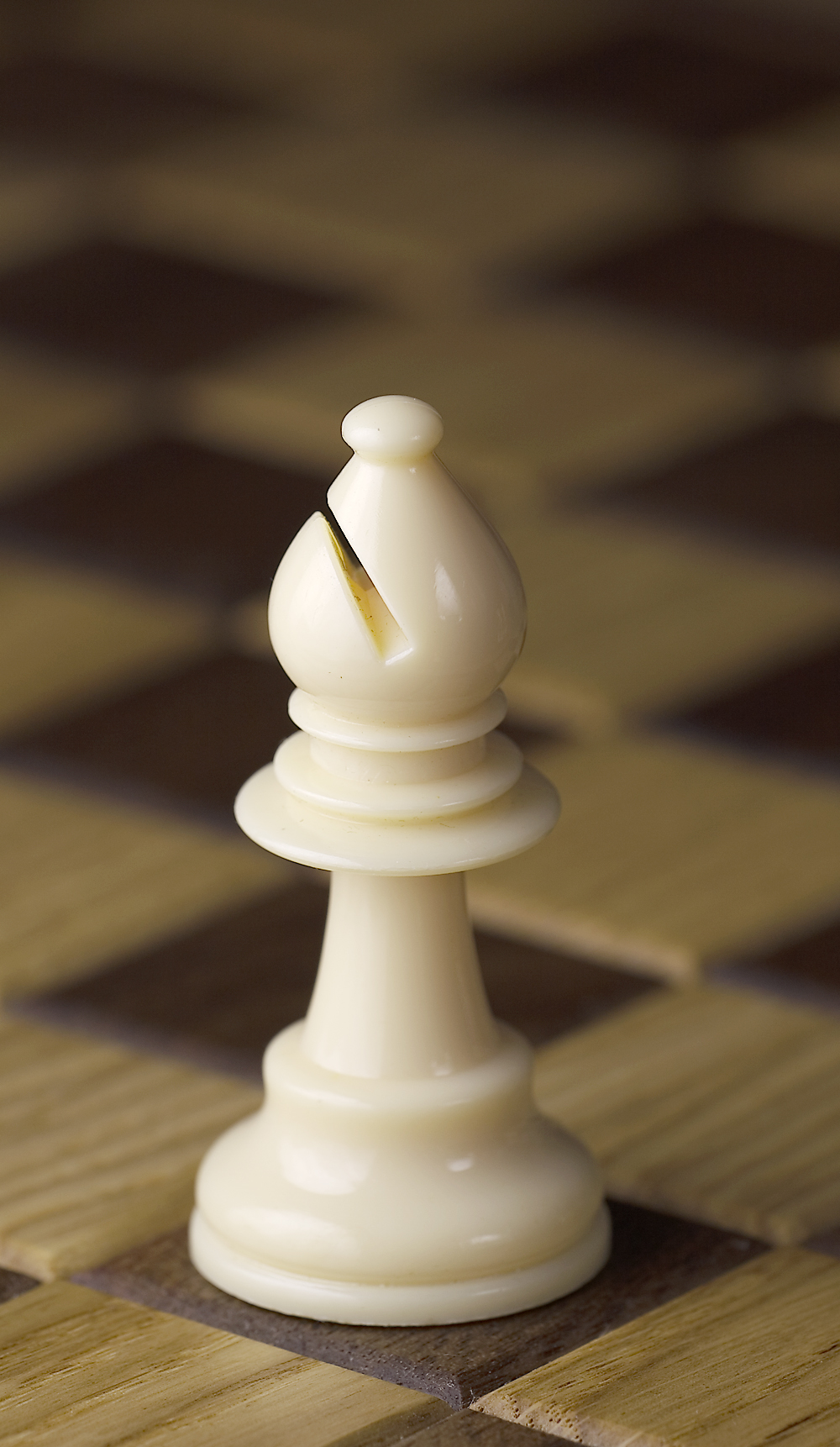 Открытое личное первенство ДЮСШ №2 по быстрым шахматам