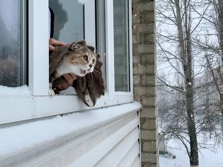 В Белгородской области ожидается сильный ветер и гололедица