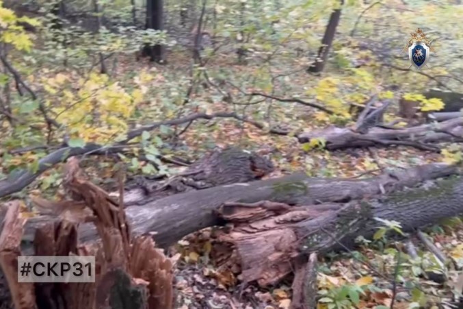 За смерть подростка в Губкине предприниматель получил 3 года принудительных работ