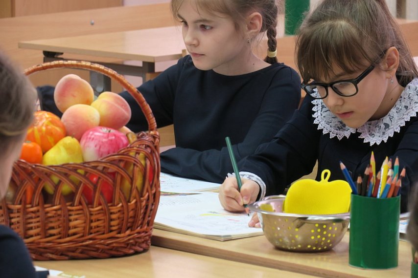 Цифровой профиль здоровья ребёнка запустят в 30 школах Белгородской области