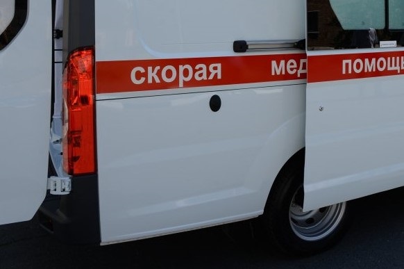 В Губкинском округе из-за падения дерева погиб 18-летний парень