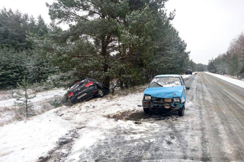 Первые жертвы зимы: в понедельник в ДТП погибли три человека 