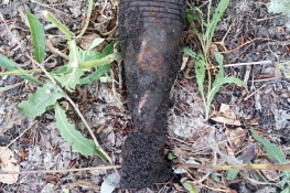 В центре Губкина нашли боеприпас времён войны
