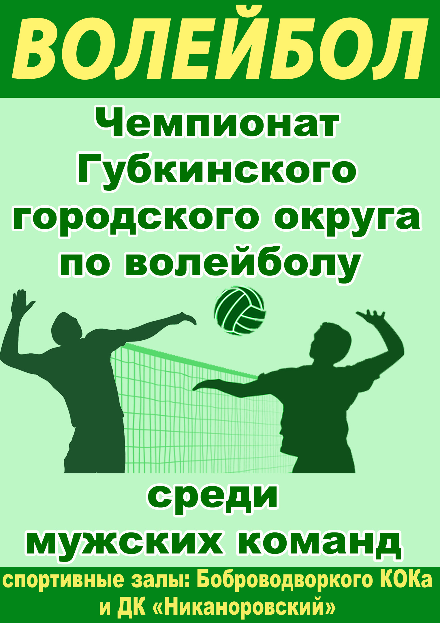 Чемпионат Губкинского городского округа по волейболу среди мужских команд