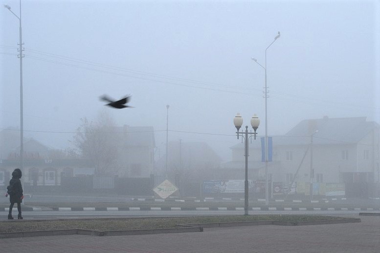 Белгородскую область накроет туман