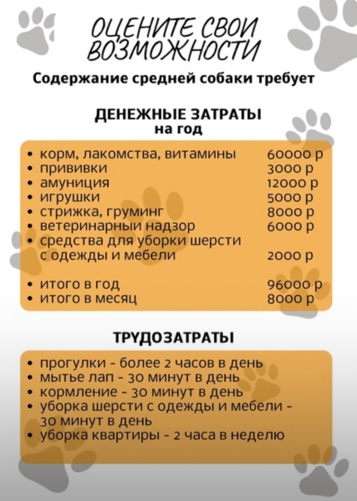 rEqWfQQfM38.jpg