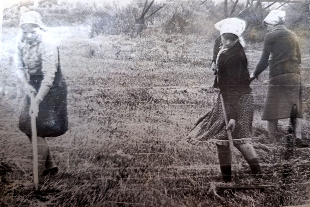 Шинкарева школа 1.jpg