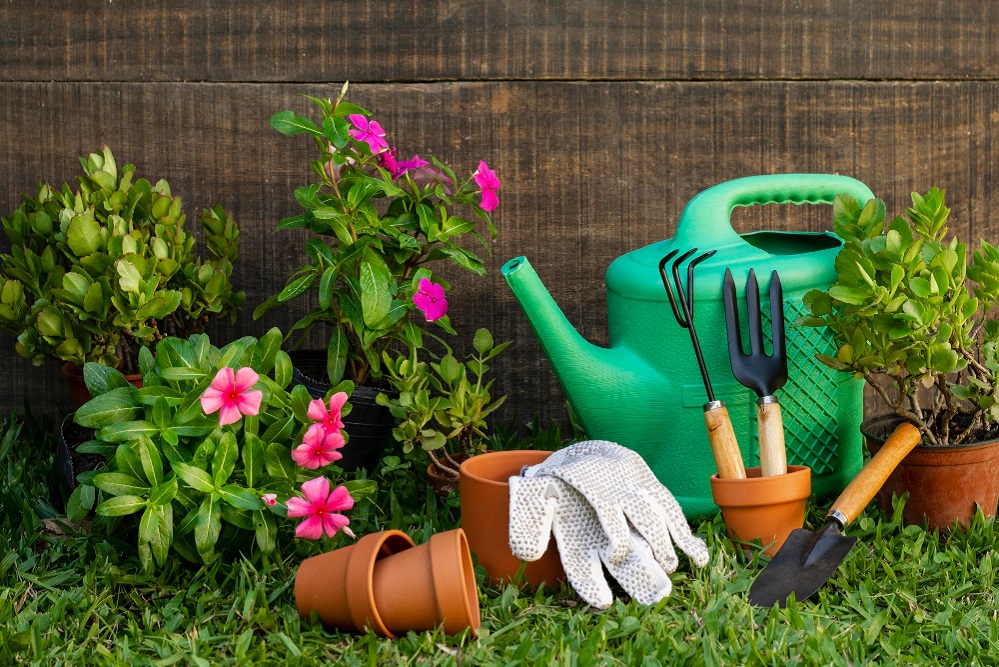 plants-pot-with-watering-can.jpg