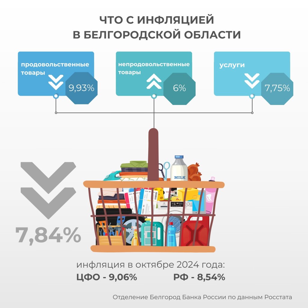 Инфографика.jpg