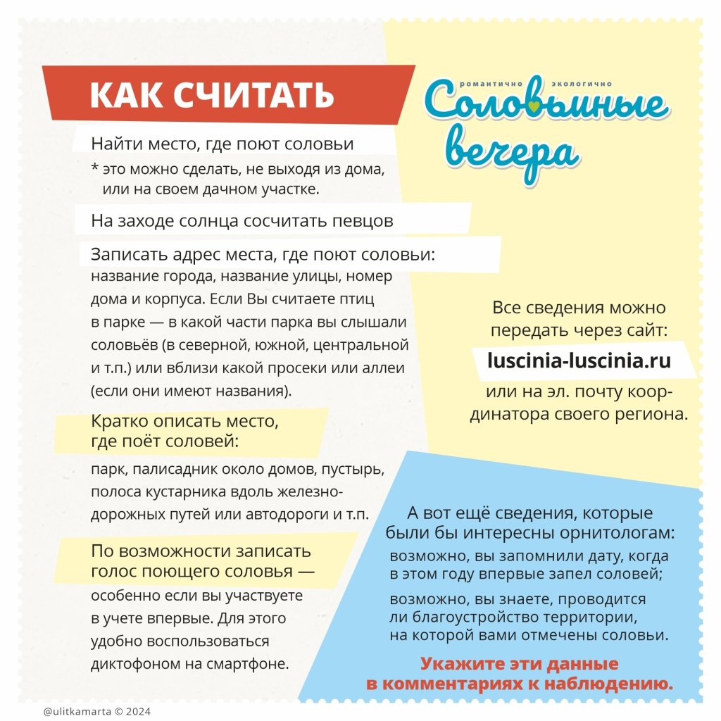 Соловьиные вечера (4).jpg