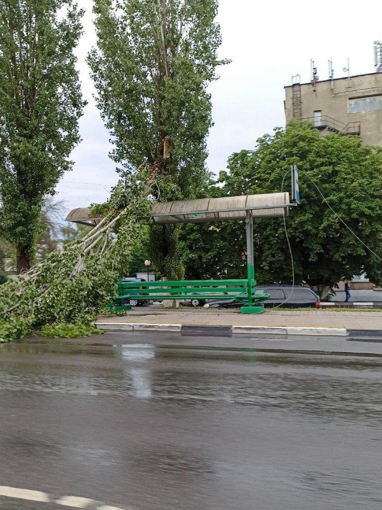 Дороги-реки, поваленные деревья, разбитые машины: горожане делятся фото и  видео последствий непогоды в Губкине | 16.06.2024 | Губкин - БезФормата