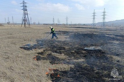 Жёлтый уровень погодной опасности объявили в Белгородской области из-за ветра