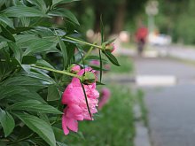 Длинные июньские выходные ждут губкинцев 