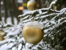 Новогодние каникулы россиян продлятся рекордные 12 дней