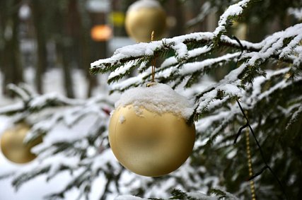 Новогодние каникулы россиян продлятся рекордные 12 дней