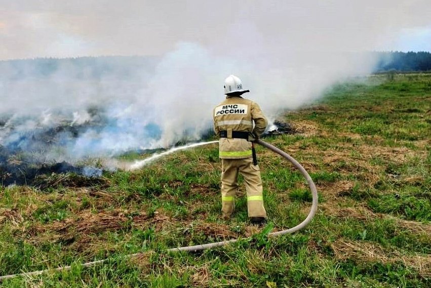 800 квадратных метров камыша сгорело в Губкинском округе
