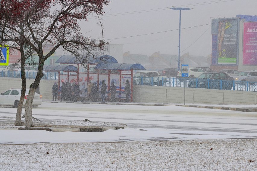 На Белгородскую область надвигается сильный снегопад