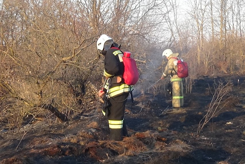 За неделю пожарные Белгородской области более 250 раз тушили горевшую сухую траву и мусор