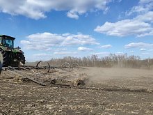 Режим ЧС ввели в Белгородской области из-за засухи