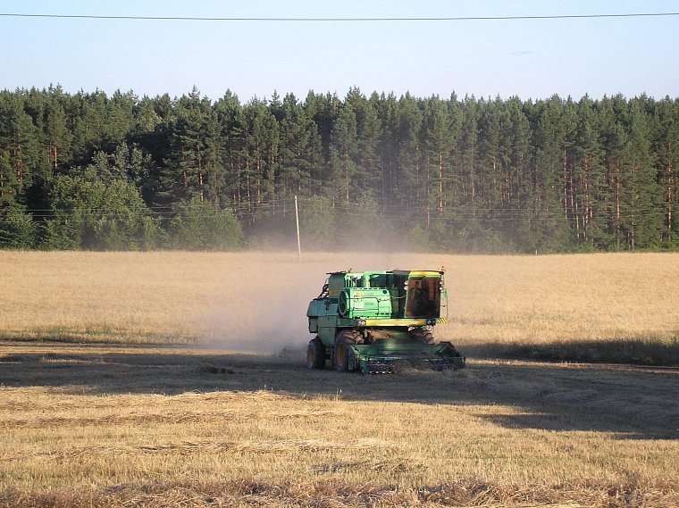 В Губкинском округе завершили уборку ранних зерновых и зернобобовых культур