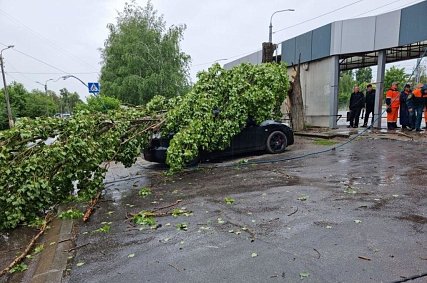 Сильный ветер продолжит бушевать в Белгородской области