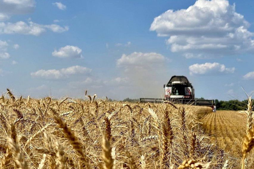 Аграрии соберут не менее 3, 2 млн тонн зерна с полей Белгородской области