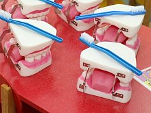 Школы здоровья для детей и родителей открылись в Губкине