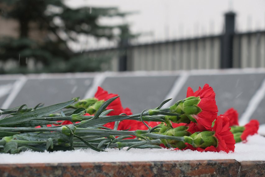 Гвоздики на снегу: в Губкине возложили цветы к памятникам в День неизвестного солдата