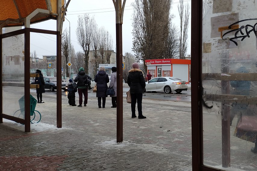 Жители Губкина пожаловались на общественный транспорт губернатору 
