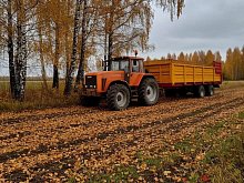 Уборочная кампания в Губкинском округе завершилась с рекордом