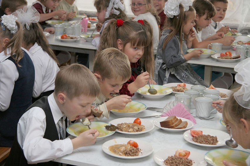 Обеды для школьников в Белгородской области – одни из самых недорогих в России