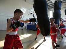 Губкинские боксёры получили подарок от фонда «Поколение»