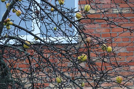 В 2026 году в Губкине капитально отремонтируют 21 многоквартирный дом