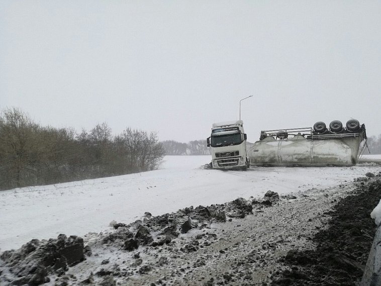 Аварии, отключение электроэнергии, пропавший урожай, поваленные деревья – зима атаковала Белгородскую область