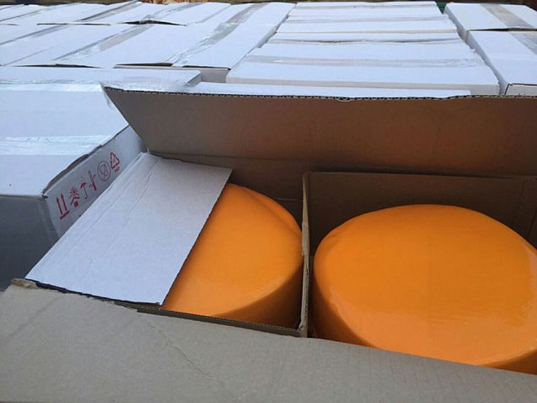 В Губкинском округе задержали шесть тонн контрабандного сыра