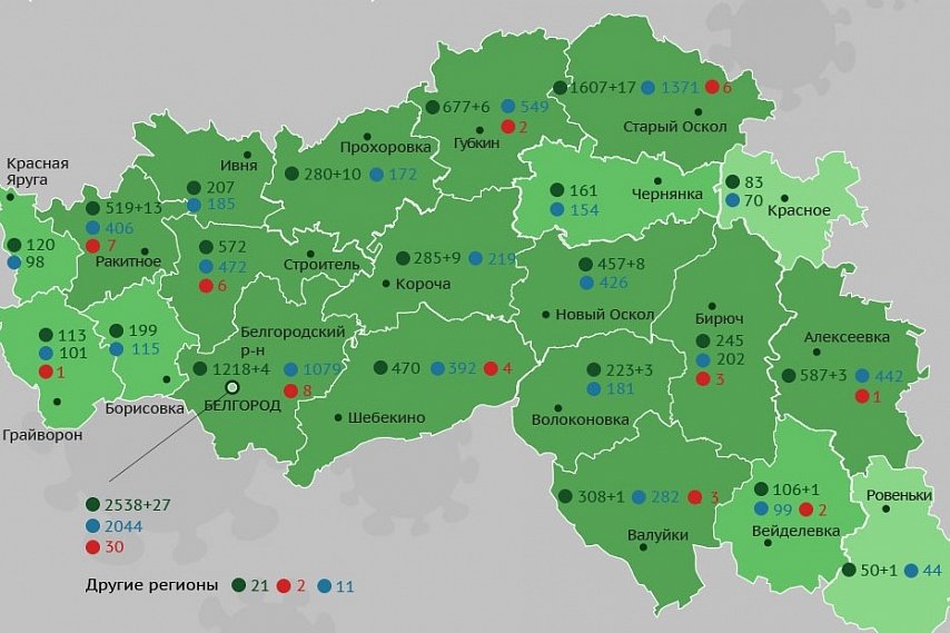 Коронавирус в Белгородской области: информация на 27 октября